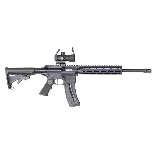 FUZIL SMITH & WESSON M&P15-22 .22