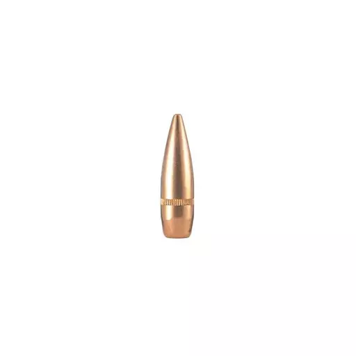 MUNIÇÃO CBC .308 ETPT 162GR