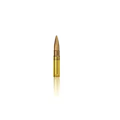 MUNIÇÃO CBC .300 BLACKOUT ETOG SUB 200GR 50un